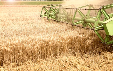 Les Formations en Comptabilité Agricole : Un Pilier pour la Gestion Moderne des Exploitations