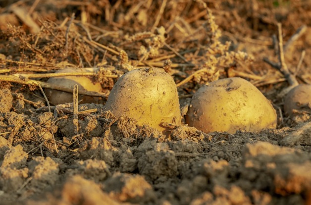 Créer son entreprise agricole : les formations pour bien démarrer